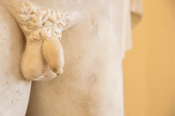 Penis Doku Yenileme Tedavileri: Eksozom, PRP ve Adipose Hücre Tedavilerinin Bilimsel Karşılaştırması